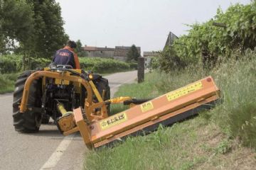 Disposizioni per il taglio obbligatorio di siepi, arbusti e alberi ai margini di strade pubbliche